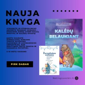 Knyga vaikams "Kalėdų belaukiant" + žurnaliukas