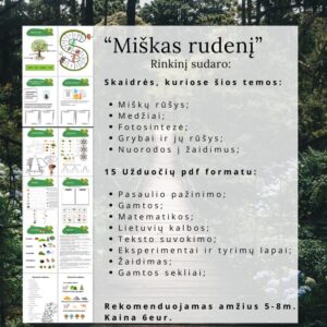Rinkinys vaikams „Miškas rudenį“