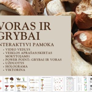 Projektas "Voras ir grybai"